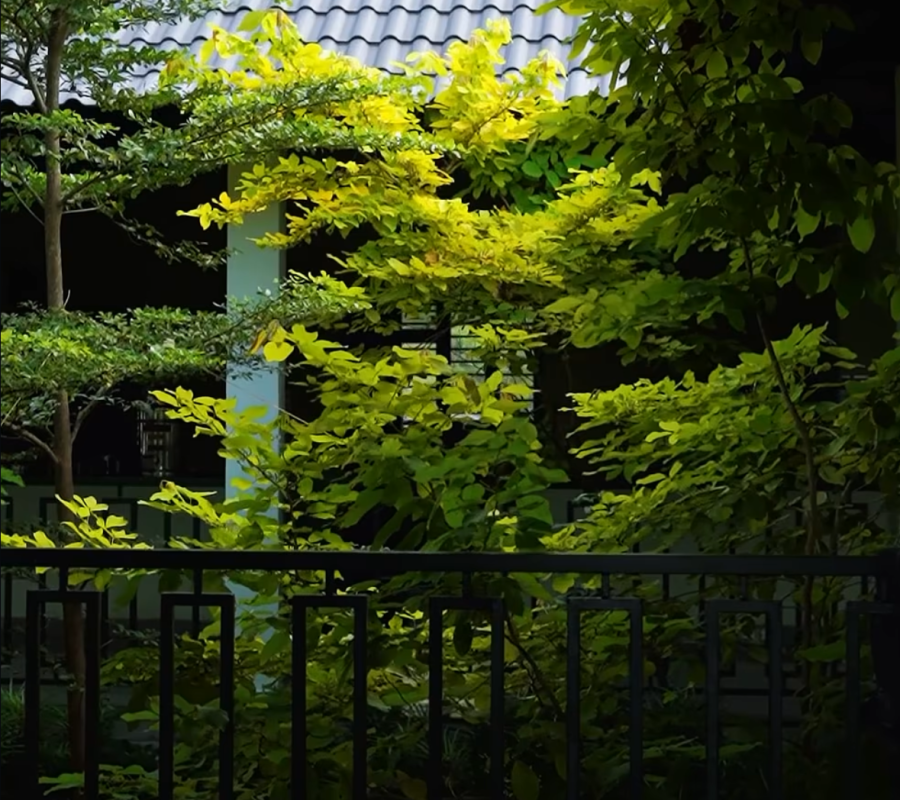 beauty of the campus